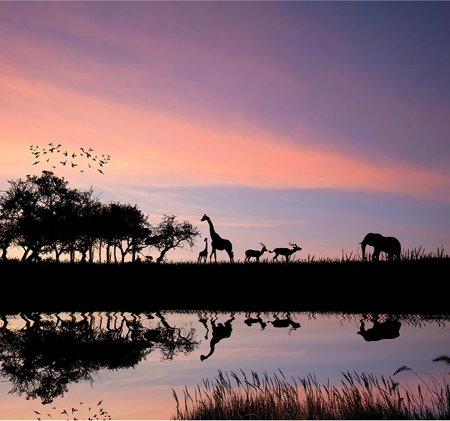The Golden Hour Retreat