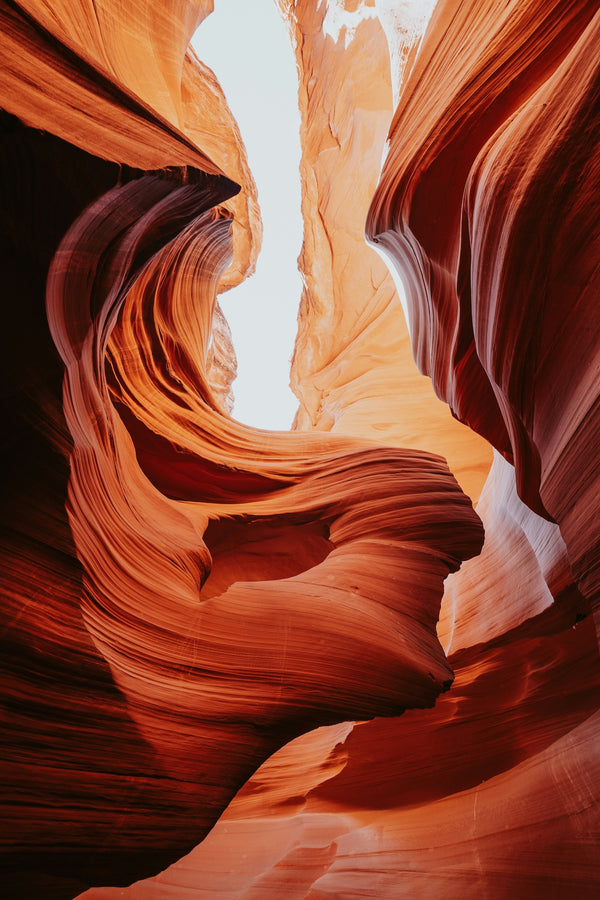 The Aligned Life Retreat